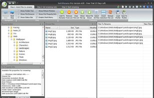 BatchRename screenshot 3