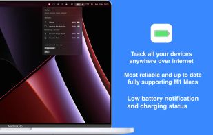 Battery Widget screenshot 1