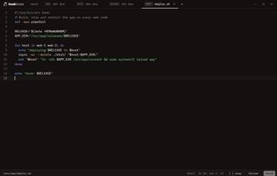 A remote file open in the built-in editor