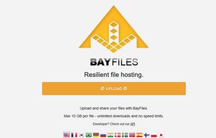 Bayfiles screenshot 1