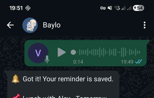 Baylo screenshot 2
