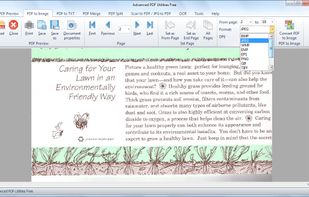 Convert PDF to Image