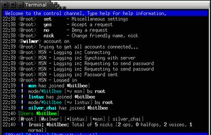 BitlBee in irssi inside screen.
