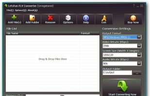 LetsFun FLV Converter screenshot 1