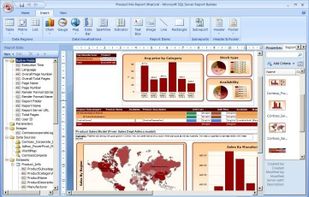 SQL Server Reporting Services screenshot 1
