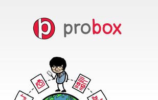 Probox screenshot 1