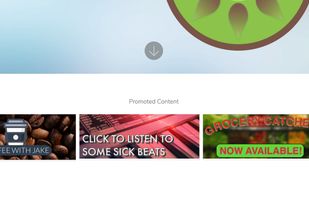 A screenshot of the Fruity Web Browser homepage with BCS Marketing built-in.