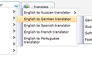 Menu for language selection