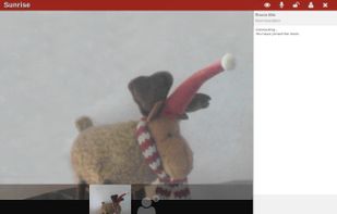 One moose in the conference rootm