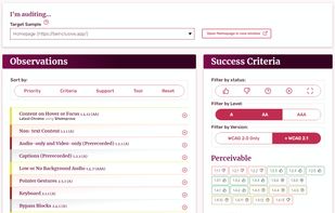 The audit editor - Track success criteria results and log new observations (with associated images) all in one easy interface