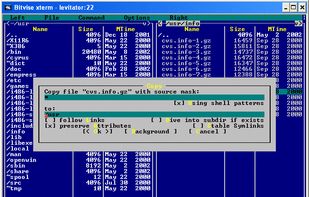 SSH Client: xterm Console