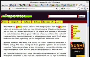 Vimperator screenshot 1