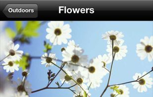 PhotoCaddy screenshot 1