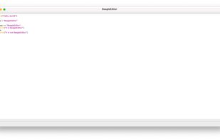 Editing a Python file with BeagleEditor