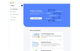 Pulse Surveys