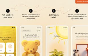 Bear Room  screenshot 3