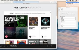 BeardedSpice screenshot 1