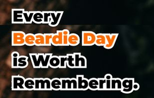 Beardie Days screenshot 1