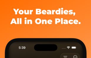 Beardie Days screenshot 1