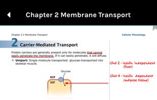 Becker USMLE GuideMD and QMD screenshot 1