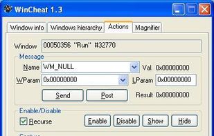 Allow text and bitmap capture, sending messages, disabling/hiding windows.
