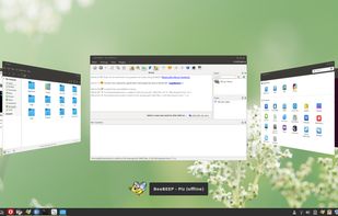 BeeFree OS screenshot 1