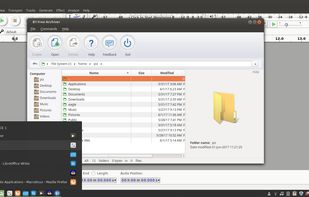 BeeFree OS screenshot 2