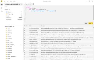 Beekeeper studio screenshot 1