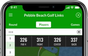 BEEZER GOLF screenshot 2