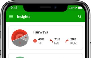 BEEZER GOLF screenshot 1