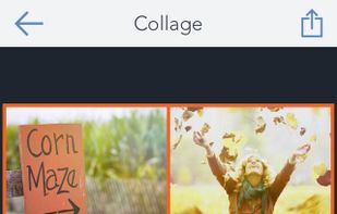 BeFunky screenshot 1