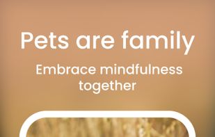 Begin: Mindfulness & Sleep screenshot 3