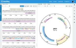 Benchling screenshot 2
