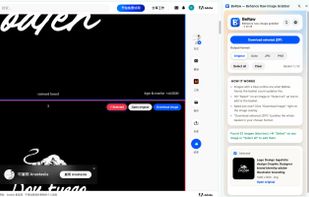 BeRaw interface for full-size image download and batch ZIP export.
