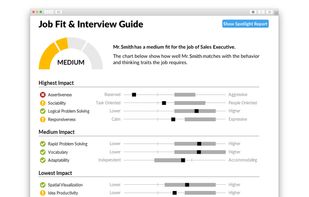 Custom Job Fit Report & Interview Guide