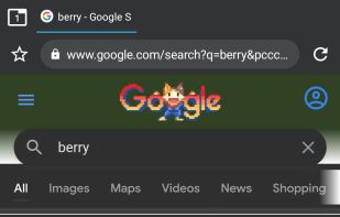 Berry Browser screenshot 3