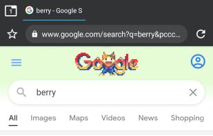 Berry Browser screenshot 2