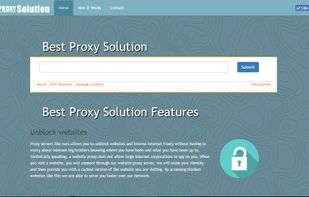 BestProxySolution.com screenshot 1