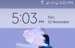 Betta Fish 3D screenshot 3