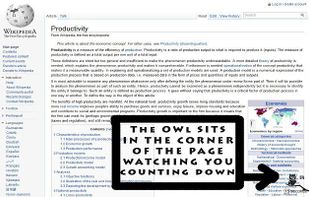 Productivity Owl screenshot 1