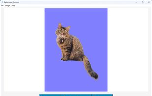 Custom background color