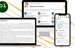 bibisco novel writing software
