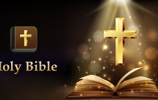 Bible - KJV,NIV and etc.. screenshot 1