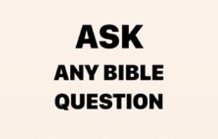 Ask Bible questions and explore Scripture with the AI assistant.
