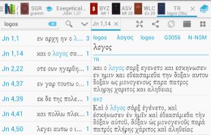Bible lexicon screenshot 3