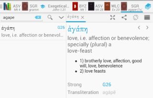 Bible lexicon screenshot 2