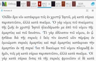 Bible lexicon screenshot 1