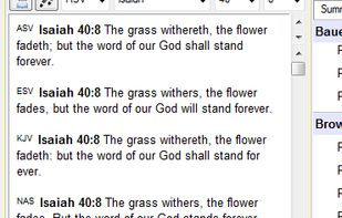 BibleWorks screenshot 1