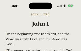 The reader, with a chapter open