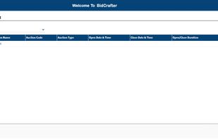 BidCrafter screenshot 2